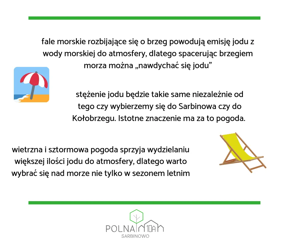 Zdjęcie Czy jod jest nad każdym morzem? Odkryj jego zaskakujące stężenia