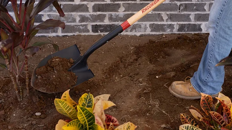 Zdjęcie Jak jest łopata po angielsku? Odkryj różnice między shovel a spade