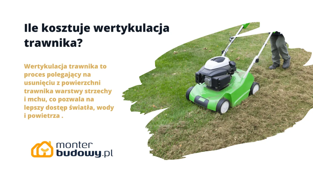 Zdjęcie Ile kosztuje wertykulacja trawnika? Sprawdź, jak uniknąć przepłacania!