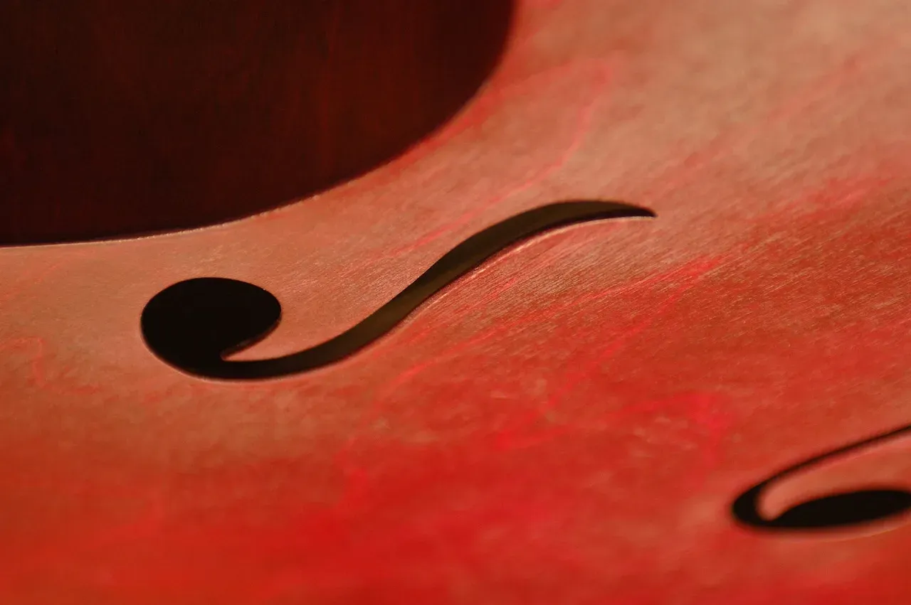Zdjęcie Gitara i skrzypce to instrumenty jakie - poznaj ich różnice i cechy