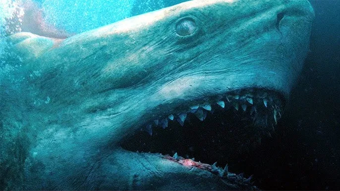 Zdjęcie Film o megalodonie: szokująca historia, która zaskakuje widzów
