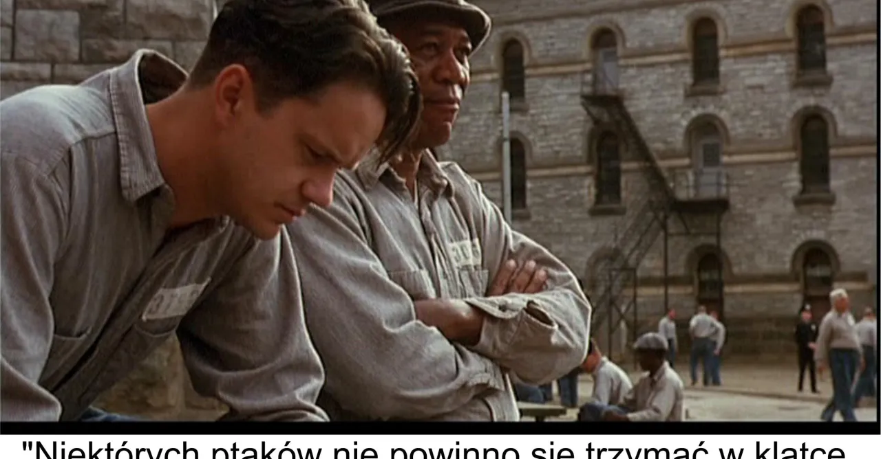 Zdjęcie Cytat filmowy co ty wiesz o - odkryj ich głębokie znaczenie