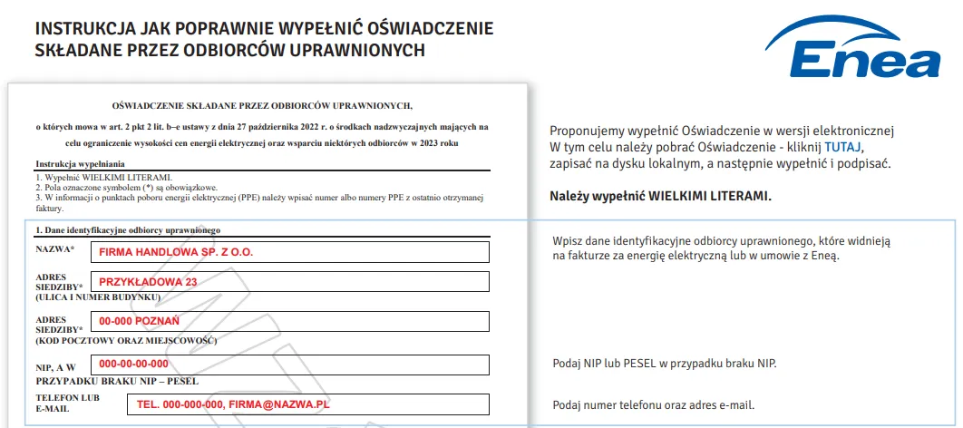 Zdjęcie Jak złożyć oświadczenie o zamrożeniu cen prądu i uniknąć wysokich rachunków