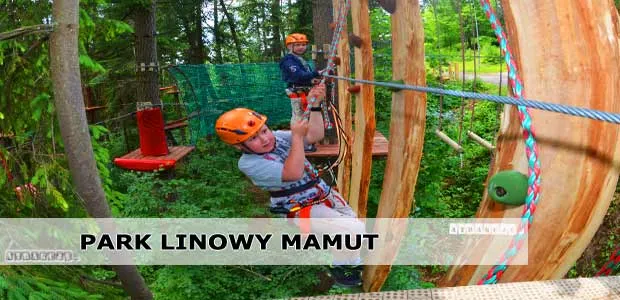 Zdjęcie Park linowy Krynica-Zdrój - idealne miejsce na aktywny wypoczynek dla rodziny