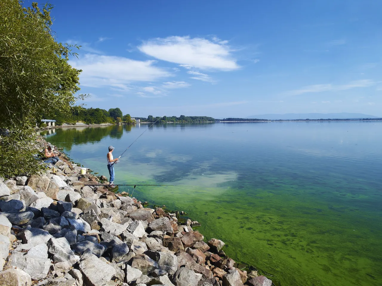 Zdjęcie Niezapomniane atrakcje Jeziora Goczałkowickiego, które musisz zobaczyć
