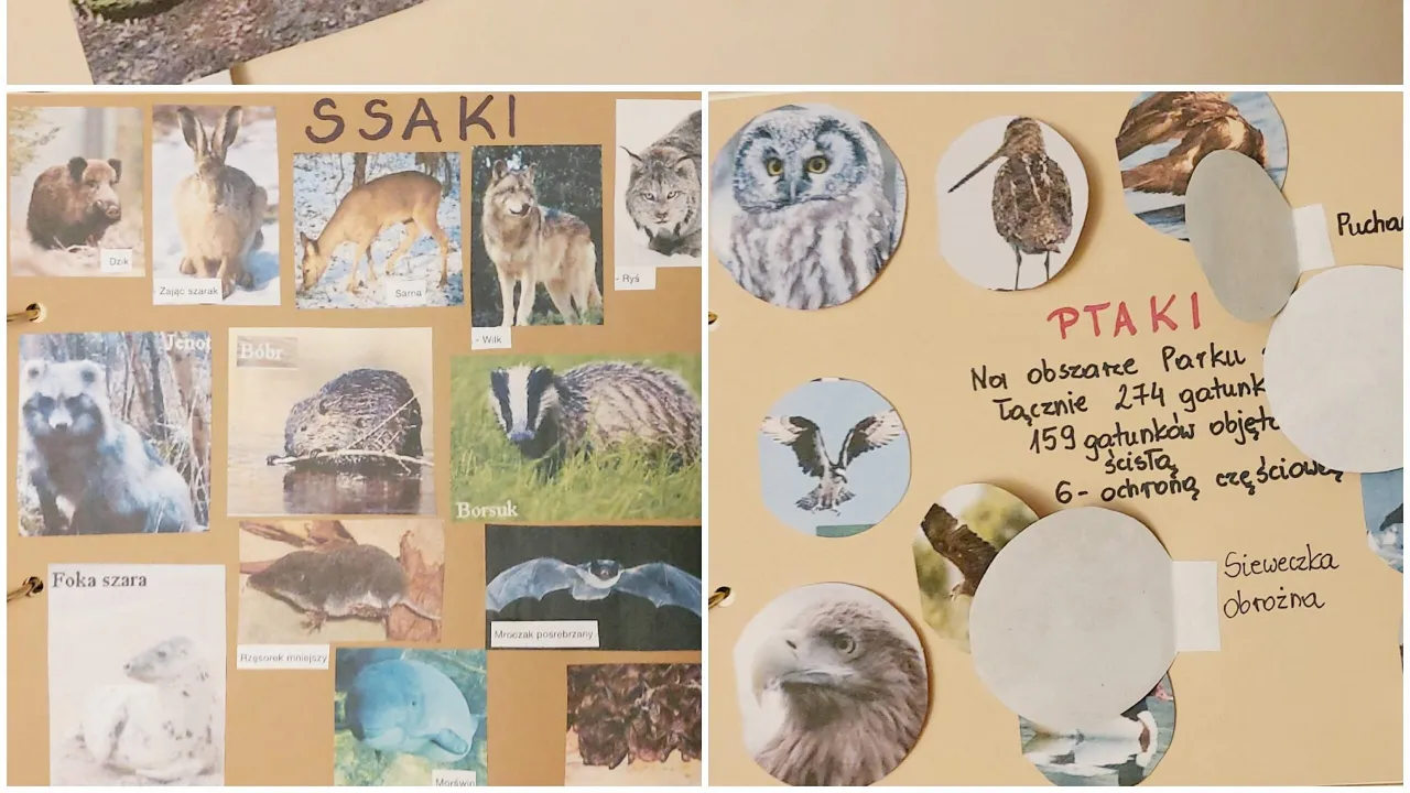 Zdjęcie Zajęcia kreatywne z biologii, które zmienią podejście do nauki