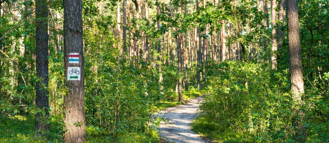 Zdjęcie Ciekawe miejsca w promieniu 100 km od Warszawy - nowe przygody