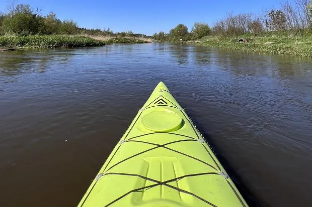 Zdjęcie Ile jest rzek w Polsce? Zaskakujące fakty o ich liczbie i znaczeniu