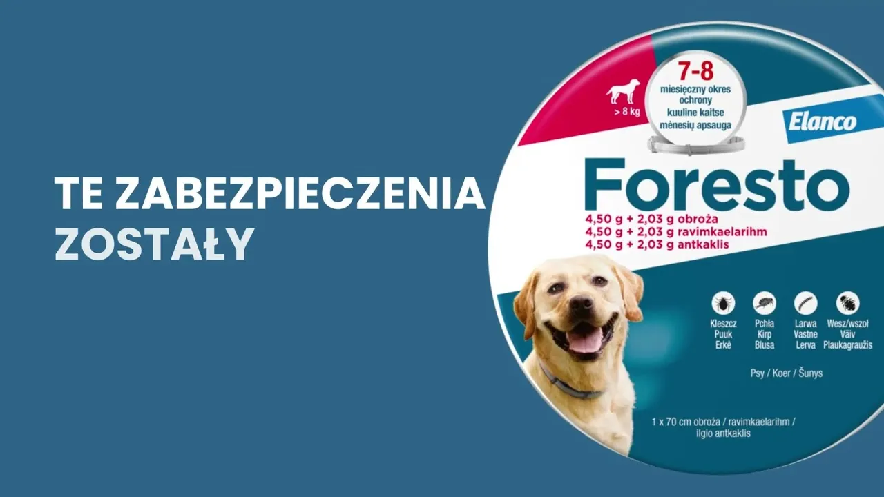 Zdjęcie Od kiedy obroża przeciwpchelna? Kluczowe informacje dla właścicieli zwierząt