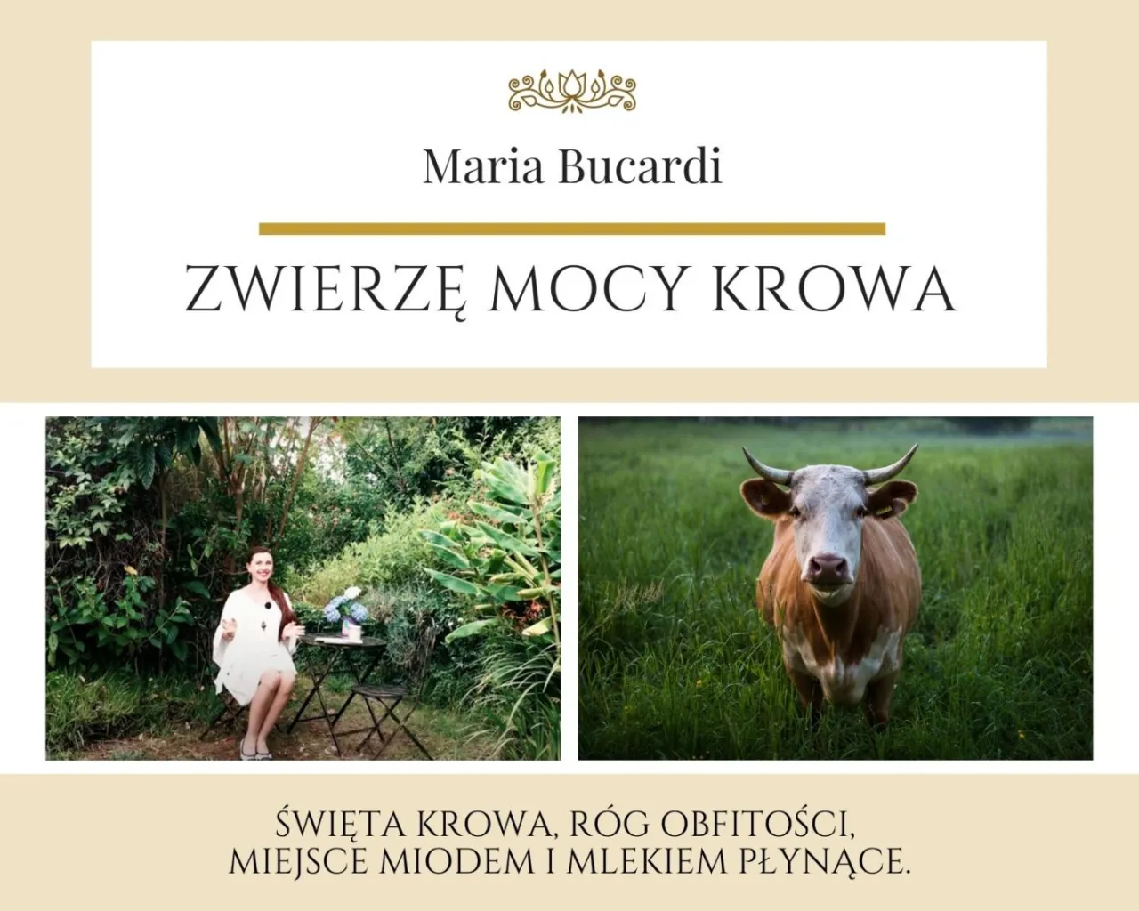 Zdjęcie Symbolika krowy: poznaj znaczenie świętego zwierzęcia w kulturach świata