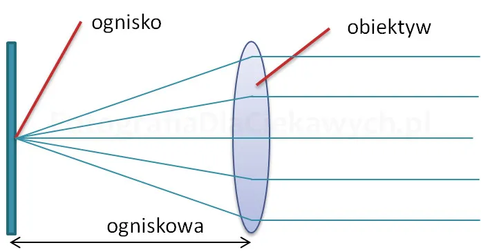 Zdjęcie Jak wybrać idealną ogniskową obiektywu i uniknąć błędów w fotografii