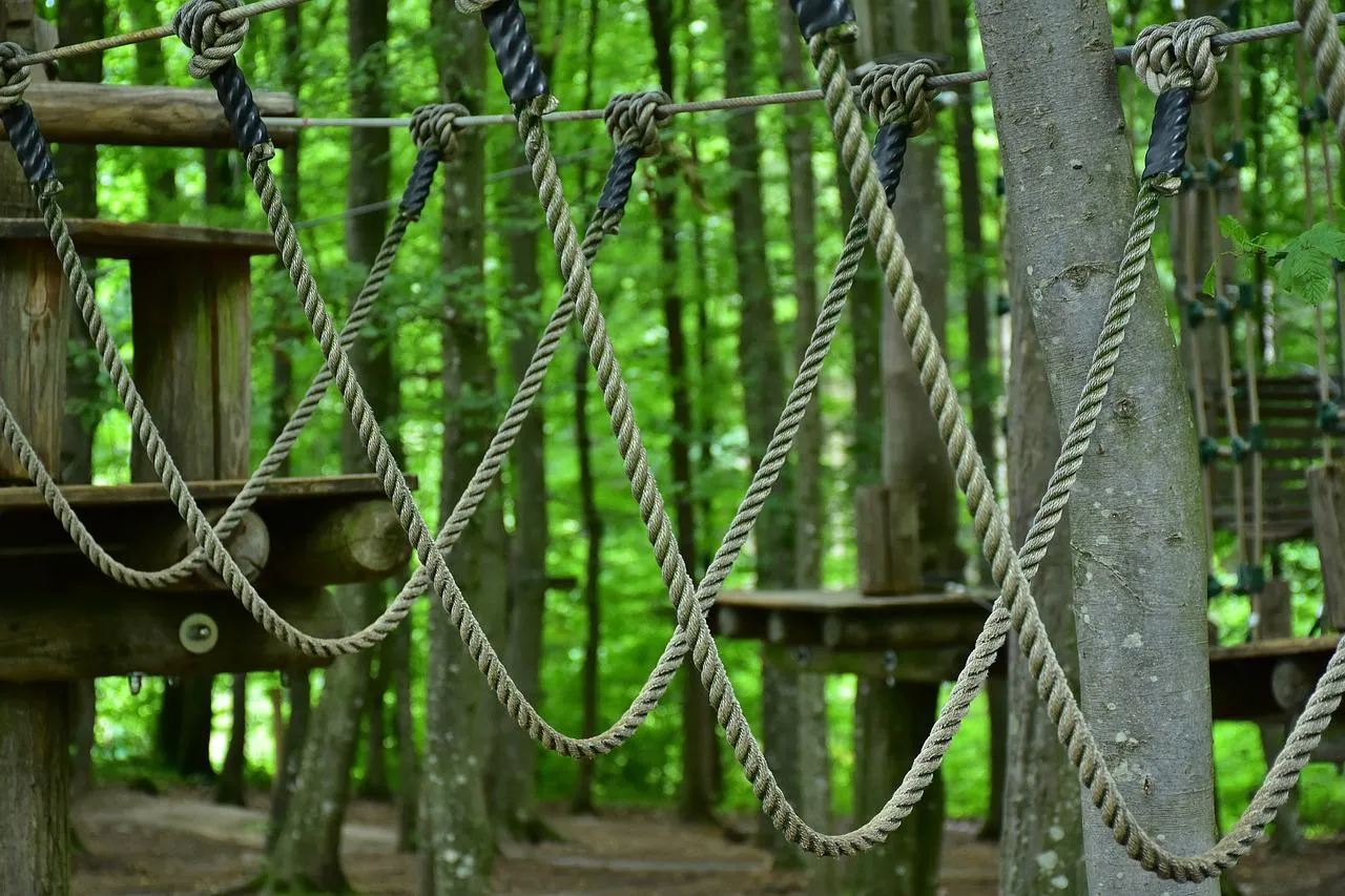 Zdjęcie Park linowy Goczałkowice - atrakcje, trasy i godziny otwarcia
