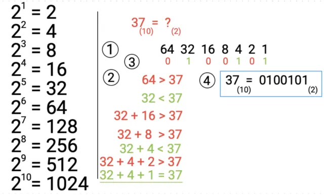 Zdjęcie Jak przeliczać system binarny na dziesiętny - łatwe metody i przykłady