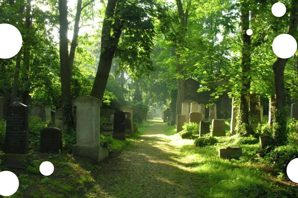 Zdjęcie Muzeum sztuki cmentarnej we Wrocławiu: historia, eksponaty i zwiedzanie