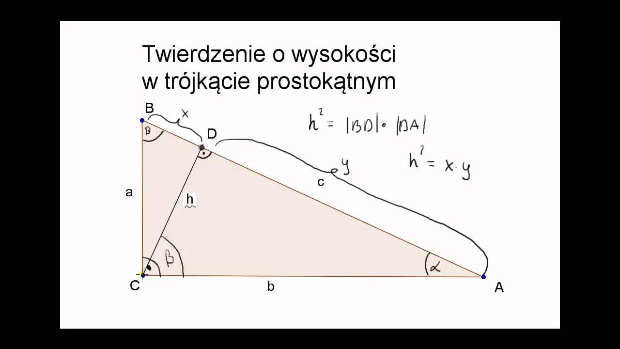 Zdjęcie Ile wysokości ma trójkąt i dlaczego to ważne dla geometrii?