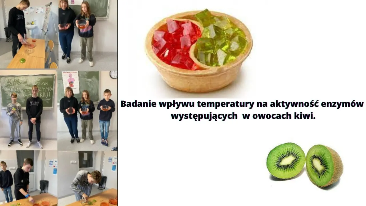 Zdjęcie Dlaczego galaretka nie tężeje z kiwi? Odkryj tajemnice enzymów
