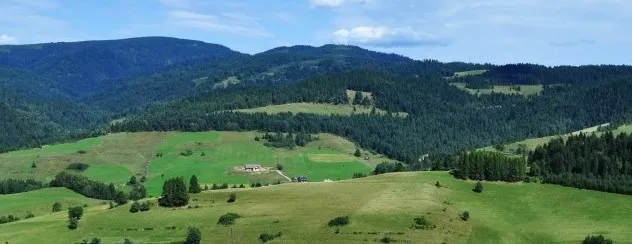 Zdjęcie Czorsztyn gdzie zjeść: najlepsze restauracje i regionalne smaki