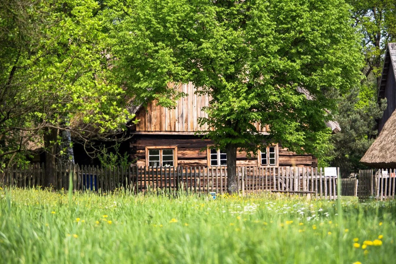 Zdjęcie Skansen Zielona Góra: Odkryj fascynującą kulturę i historię regionu
