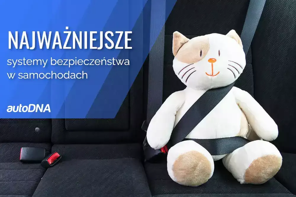 Zdjęcie Co to jest soft w samochodzie? Kluczowe informacje, zalety i ryzyka
