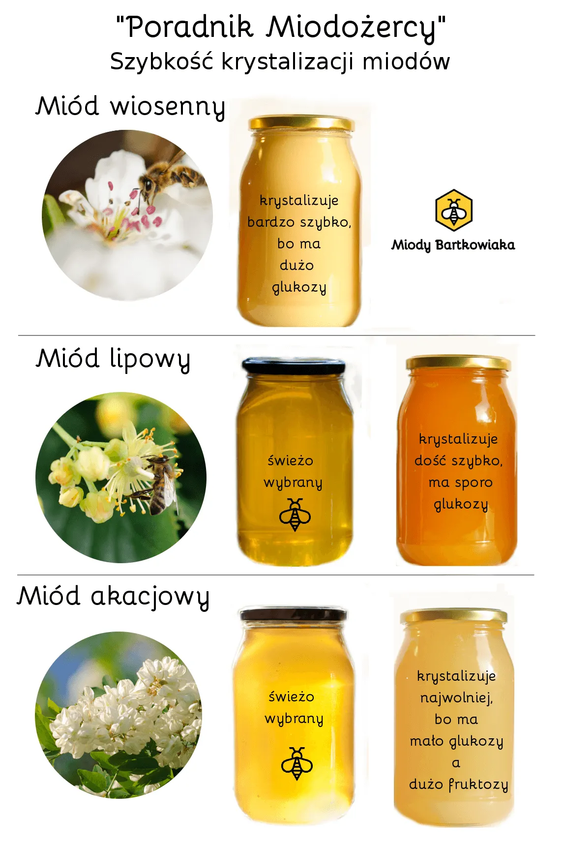 Zdjęcie Jaki miód się nie krystalizuje? Odkryj te rzadkie odmiany miodu