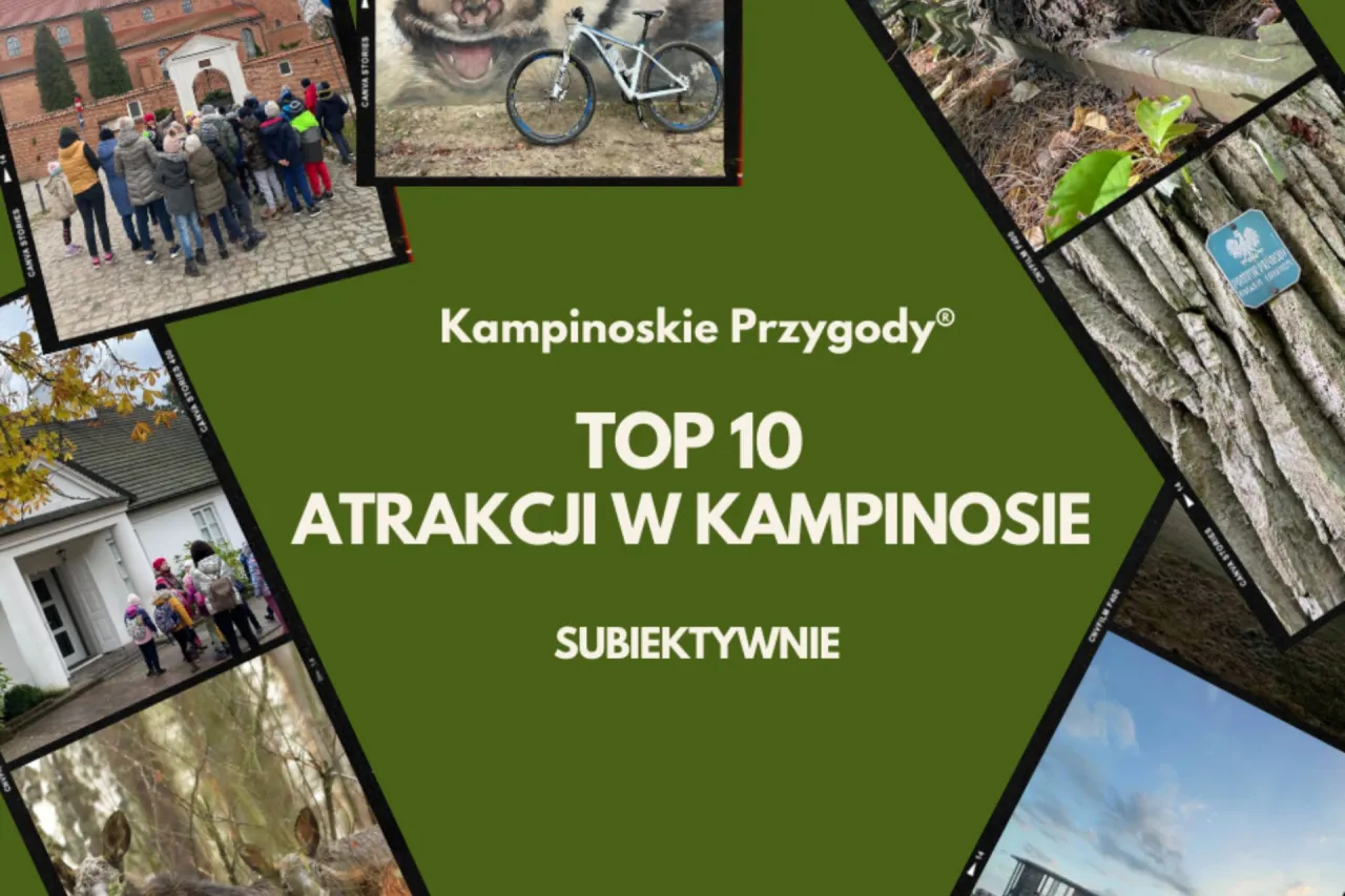 Zdjęcie Granica Kampinos atrakcje, które musisz zobaczyć i przeżyć