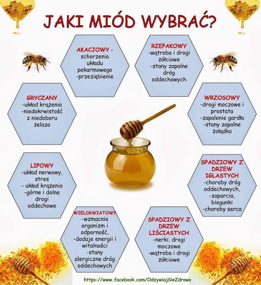 Zdjęcie Jakie witaminy ma miód i jak wpływają na twoje zdrowie? Wartości odżywcze miodu