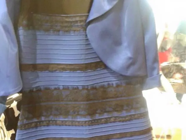 Zdjęcie Jaki kolor ma ta bluza? Odkryj, dlaczego widzimy różne odcienie