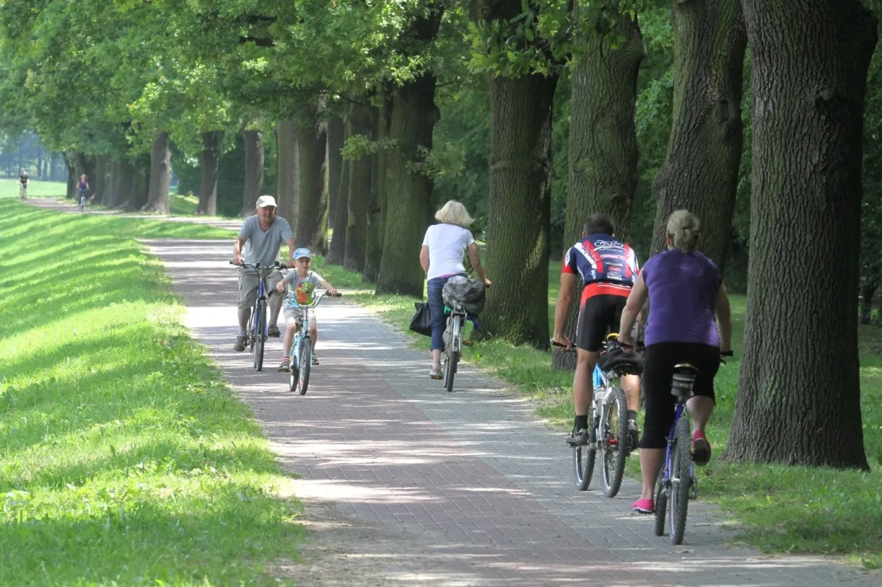 Zdjęcie Najlepsze trasy rowerowe w Dolnym Śląsku - odkryj ukryte perełki