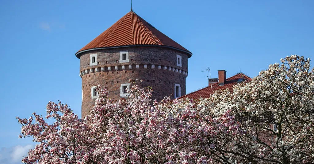 Zdjęcie Kto wybudował Wawel? Tajemnice budowniczych zamku i ich historia
