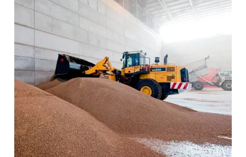 Zdjęcie Ile można zarobić na produkcji pelletu? Zaskakujące zyski i koszty