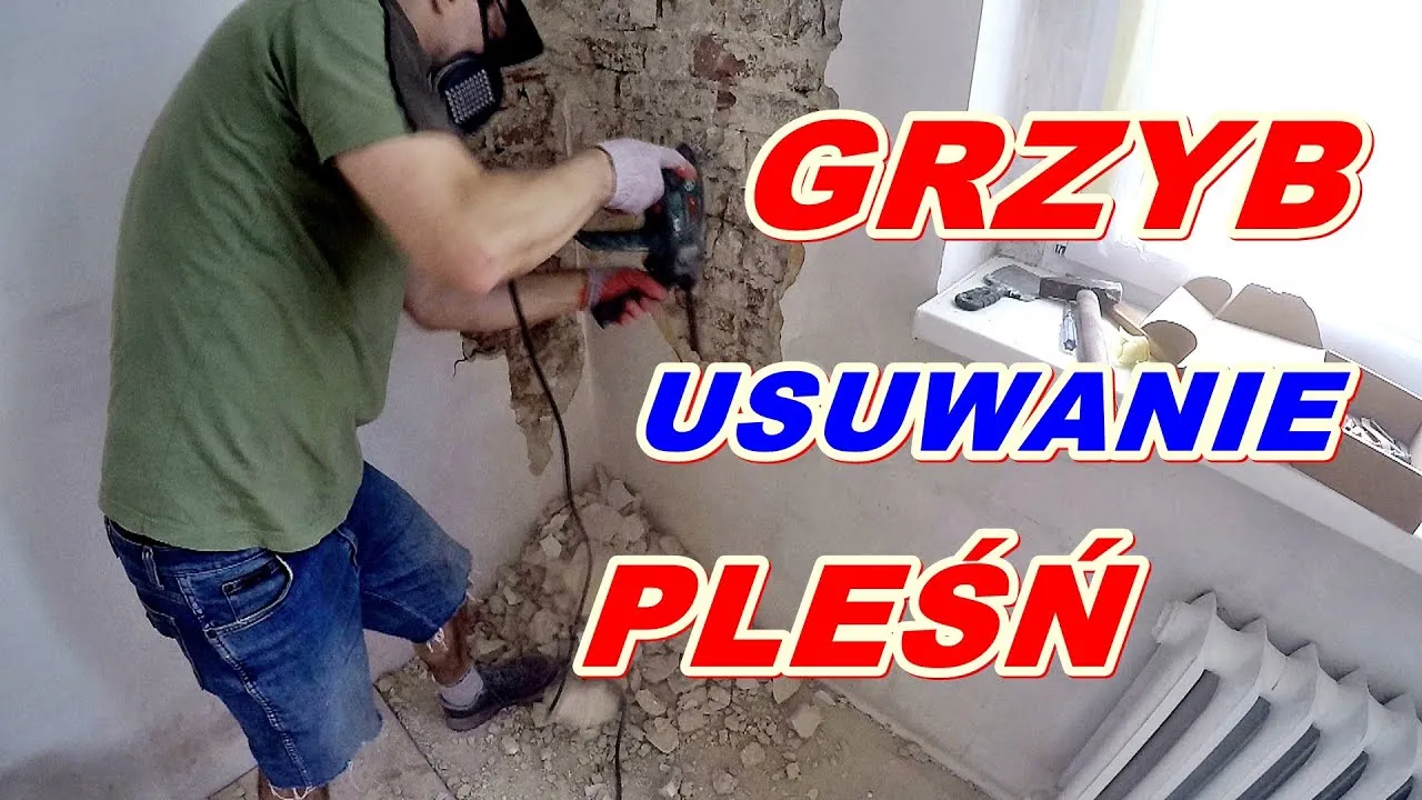 Zdjęcie Jak usunąć grzyb z okien: 5 skutecznych metod - pozbądź się pleśni
