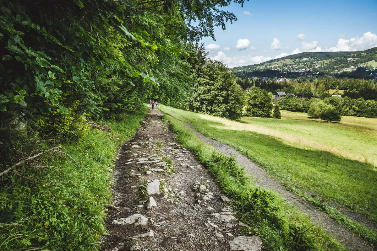 Zdjęcie Droga pod Reglami - popularna trasa biegowa w Zakopanem