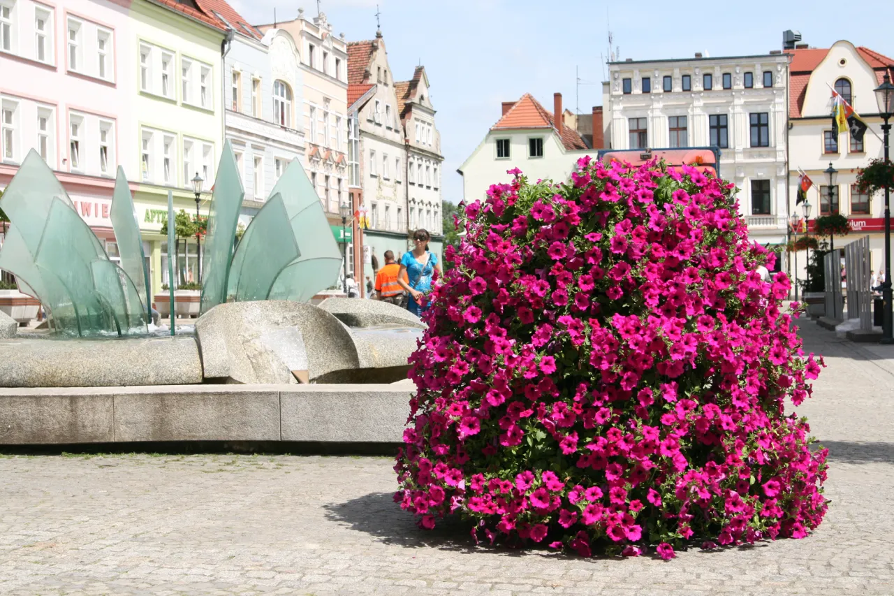 Zdjęcie Kwietnik kaskadowy jak zrobić - proste kroki do pięknej aranżacji