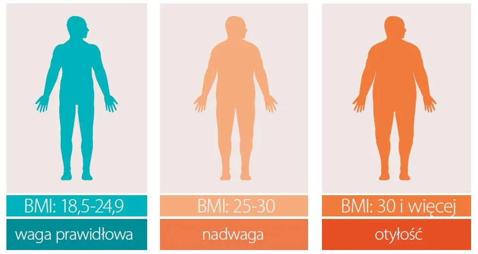 Zdjęcie Od jakiego bmi jest nadwaga i jak uniknąć problemów zdrowotnych