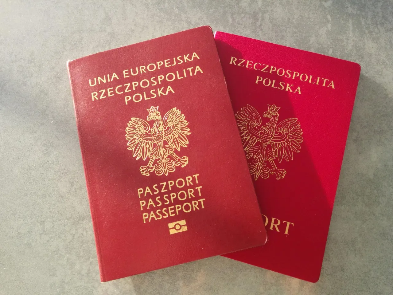 Zdjęcie Gdzie zgłosić zgubienie paszportu? Oto kluczowe informacje i porady