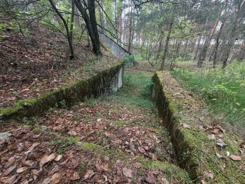 Zdjęcie Bunkry na Śląsku: tajemnice, historia i trasy turystyczne, które musisz poznać