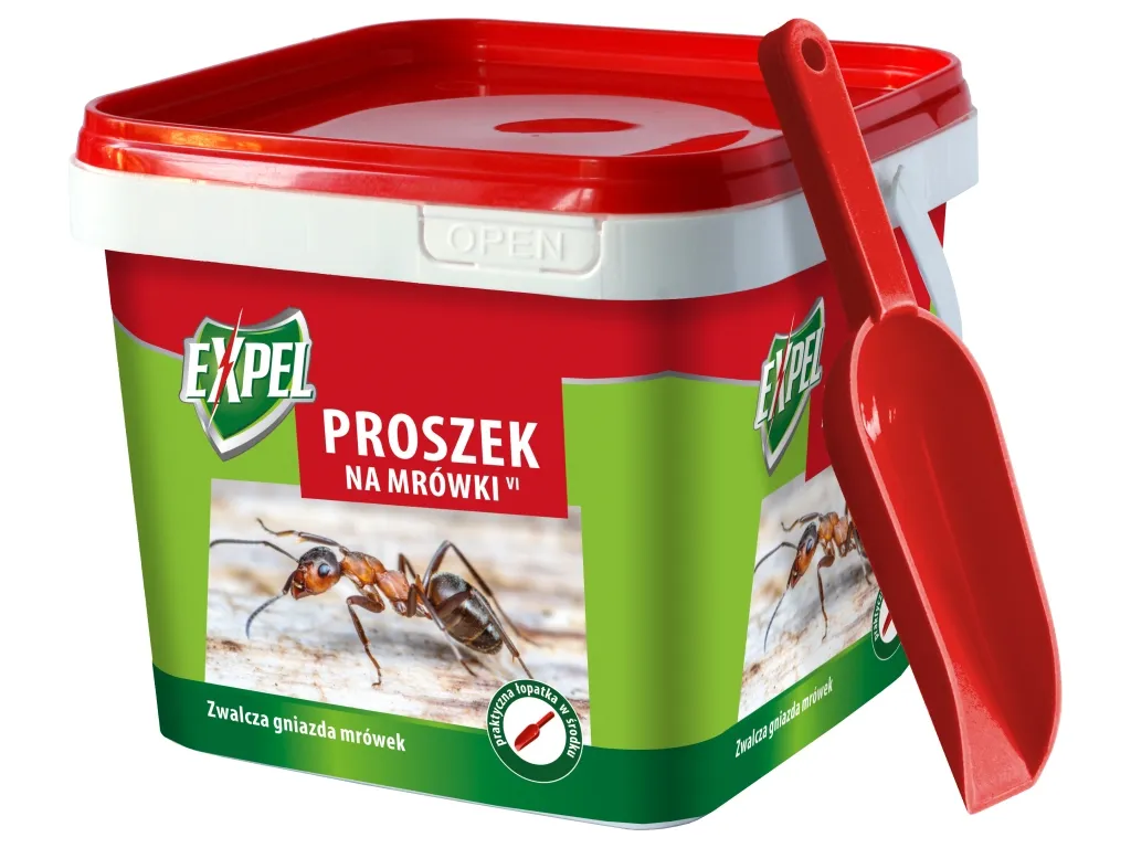 Zdjęcie Skuteczne sposoby na mrówki w ogrodzie, które nie zaszkodzą roślinom