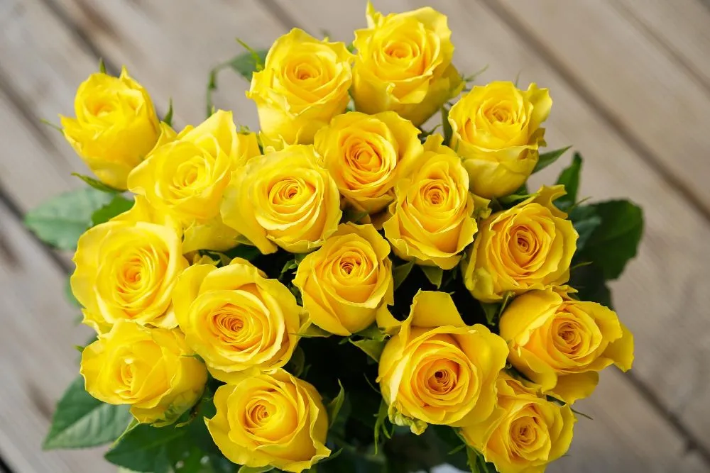 Zdjęcie Ż&oacute;łte kwiaty: Radość czy zdrada? Odkryj ich znaczenie