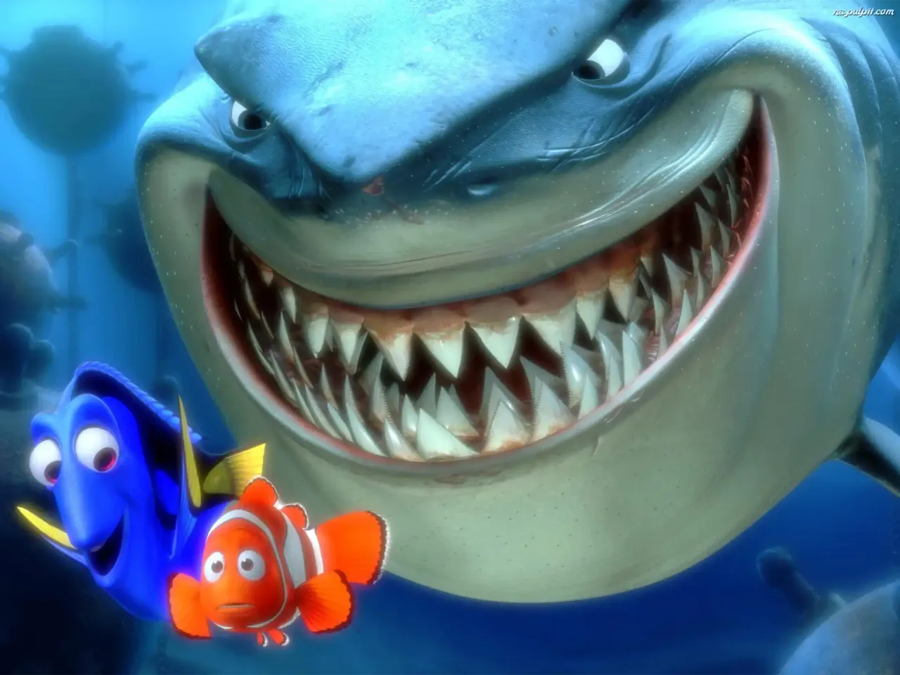 Zdjęcie Gdzie jest Nemo rybki? Odkryj tajemnice jego poszukiwań