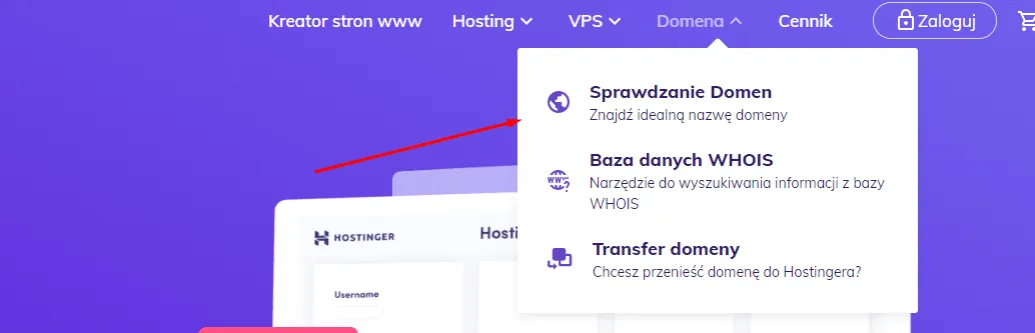 Zdjęcie Gdzie najlepiej kupić domenę i hosting? Najlepsze opcje i porady