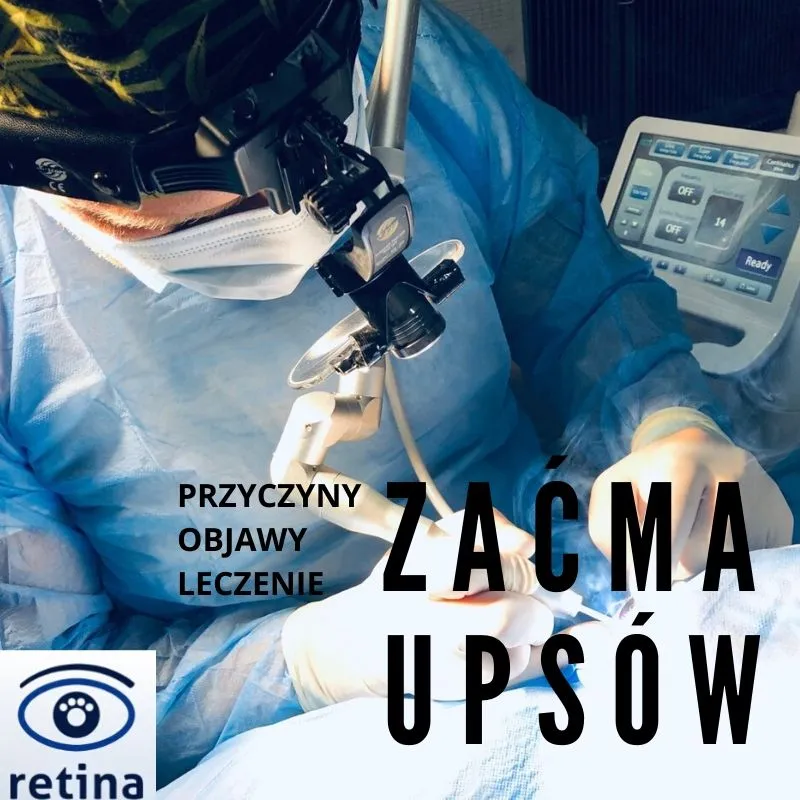 Zdjęcie Ile kosztuje operacja zaćmy u psa? Poznaj zaskakujące ceny i czynniki wpływające na koszt