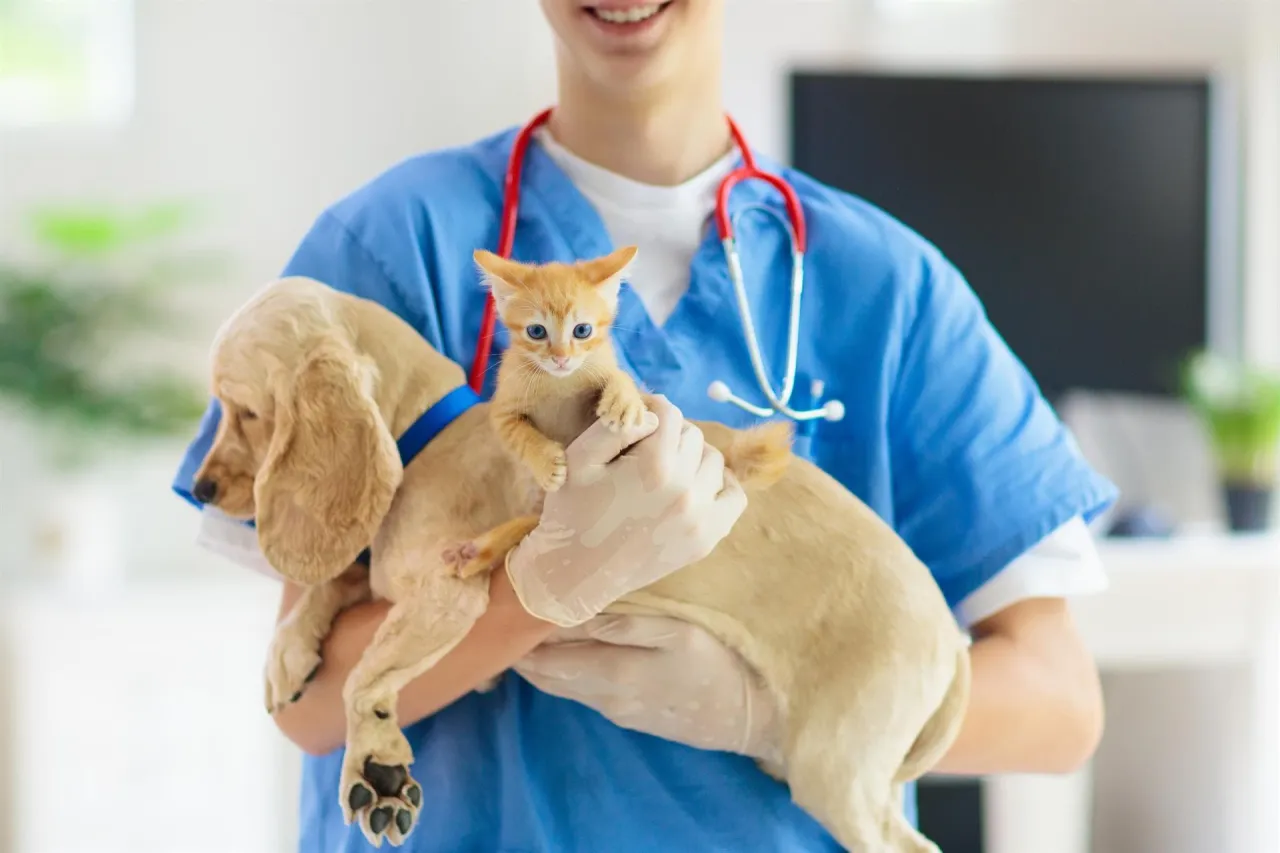 Zdjęcie Veterinario Lugo: Atención urgente y servicios para tu mascota