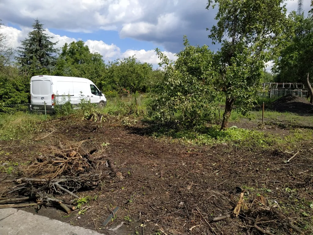 Zdjęcie Karczowanie działki - poznaj realne koszty i czynniki wpływające
