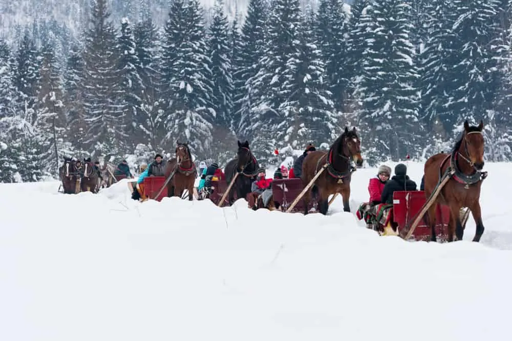 Zdjęcie Niezwykły sylwester w dolinie chochołowskiej: kulig, muzyka i regionalne menu