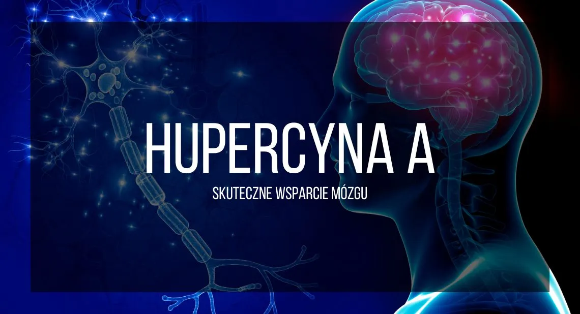Zdjęcie Huperzine a poprawa pamięci! Czy to naprawdę działa? Fakty i mity