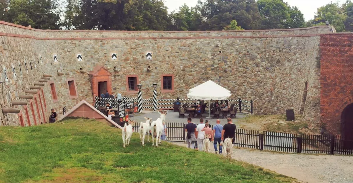 Zdjęcie Najlepsze miejsca na obiad w Srebrnej Górze - smaczne restauracje