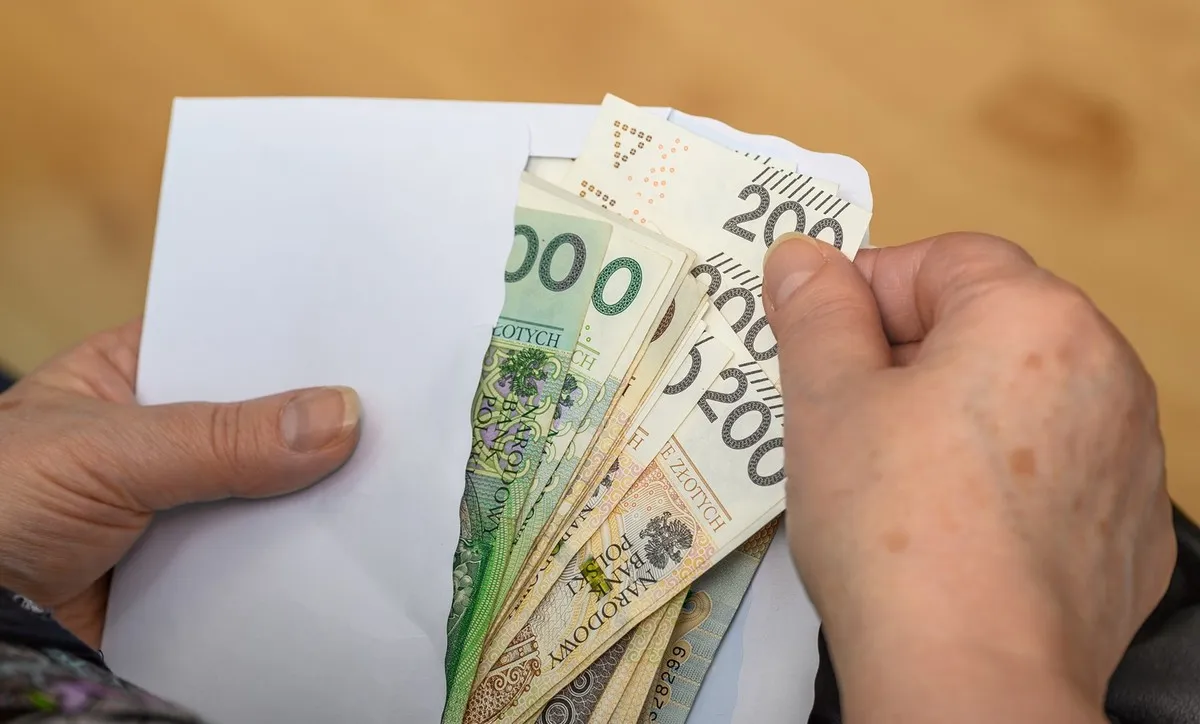 Zdjęcie Czy praktyki zawodowe wliczają się do emerytury? Sprawdź, co musisz wiedzieć