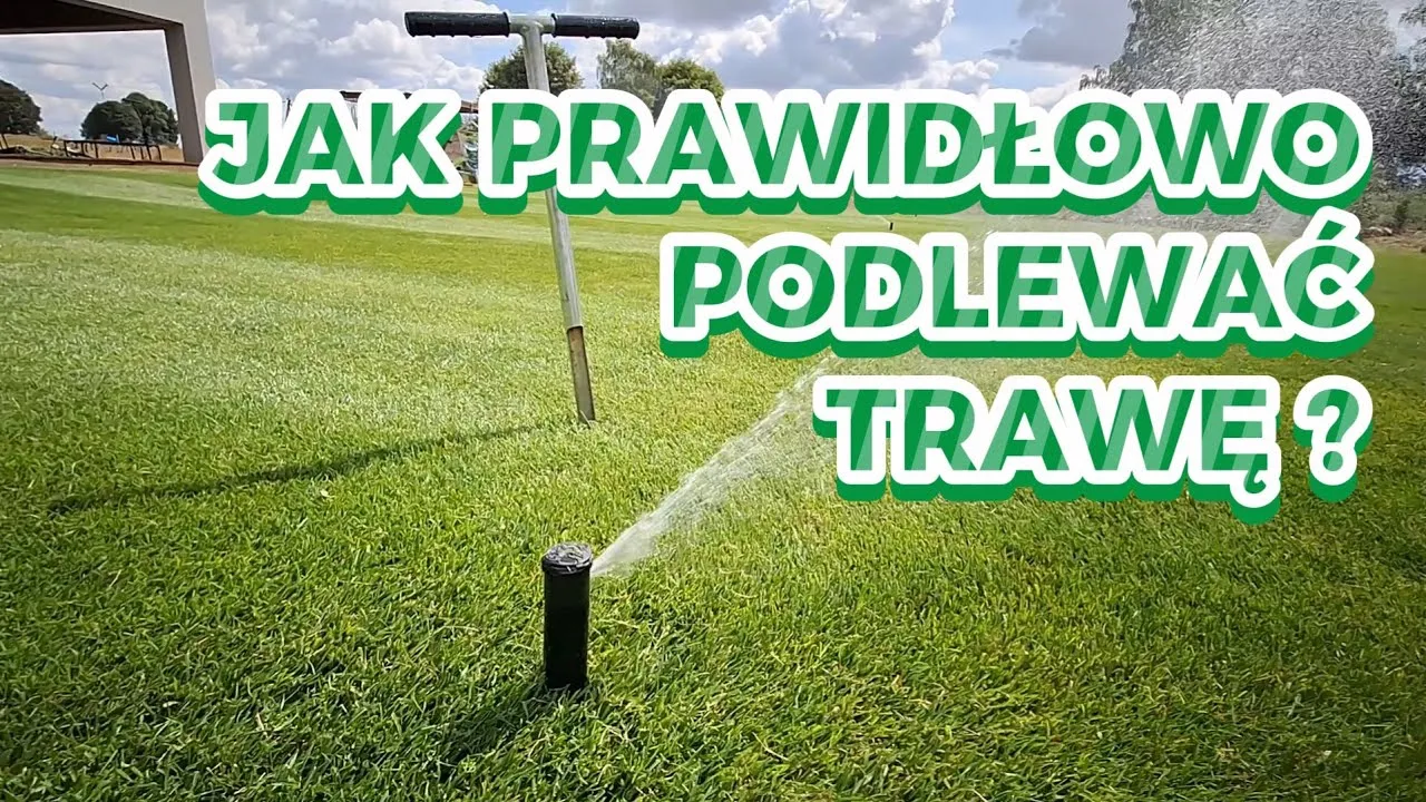 Zdjęcie Jak długo podlewać trawnik zraszaczem? Sekret zdrowej murawy