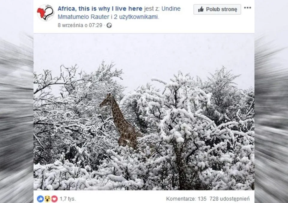Zdjęcie Czy w Afryce pada śnieg? Zaskakujące fakty o śniegu na kontynencie