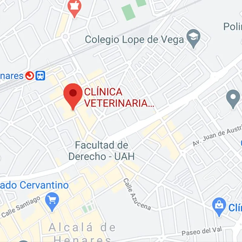 Zdjęcie Garem veterinarios 24 horas: atención urgente para tu mascota